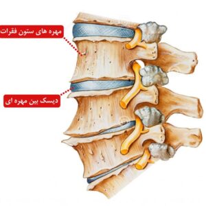 تمرینات کمک به بهبود دیسک کمر - سری 2